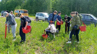В Коми продолжают выращивать гигантский геоглиф