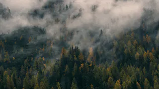 В Коми синоптики пообещали туманы и небольшие дожди