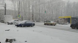 "Температура рухнет больше чем на 15 градусов": Вильфанд дал новый прогноз