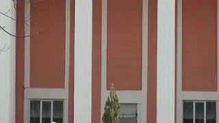 В Челябинском поселке демонтировали новогоднюю ель после жесткой критики жителей