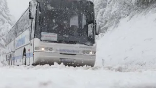 По трассам РТ возобновлено движение автобусов