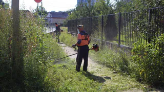 Врио мэра Рязани Артемов поручил ко Дню города привести ЦПКиО в порядок