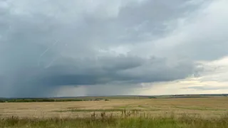 16 августа в Рязанской области ожидается сильный ветер и до +25