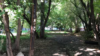 "Мне страшно возвращаться домой": рязанка пожаловалась на темный двор и огромные кусты возле дома