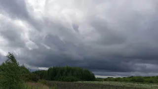 На предстоящей неделе в Коми будет дождливо и прохладно