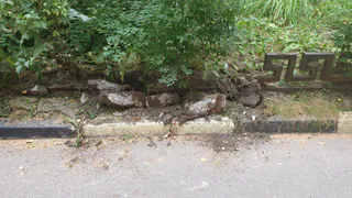 В Рязани неизвестные у всех на глазах выдернули металлическую ограду во дворе