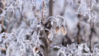 Снег, туман, гололедица — Татарстан готовится к непростой погоде 27 февраля