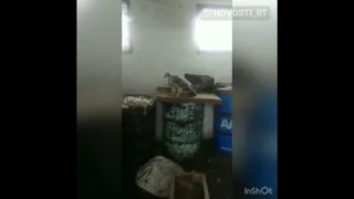 Татарстанец уже третий день не может выгнать хищную птицу