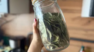 Для чего мудрые хозяйки поджигают дома лавровый лист: хитрость наших предков актуальна и сегодня