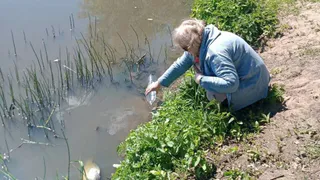 Жители деревни в Киржачском районе пожаловались на неприятный запах и гибель рыбы в озере