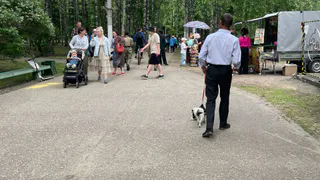 Семь привычек, незаметно лишающих вас сил и энергии