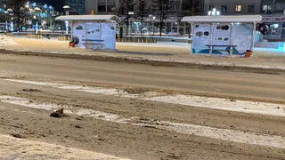 Полная разруха. Худший город России, в котором я был за 10 лет - честный рассказ