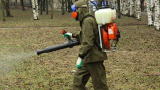 Пусть живут - администрация решила не обрабатывать парк от клещей