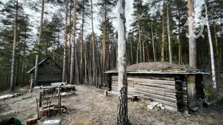 В лесу под Чебоксарами обнаружили труп мужчины