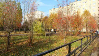 "Читающий сквер": в Недостоеве появится новая парковая зона