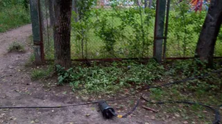 Оборвались провода и валяется дерево: на Белякова до сих пор не ликвидировали последствия урагана