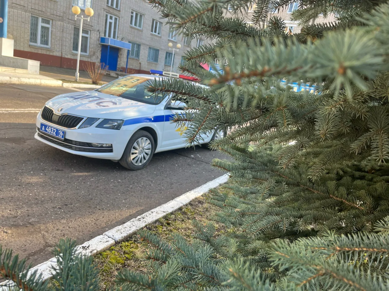 В Нижнекамске за 3 месяца произошло 38 ДТП