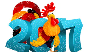 Каким стал 2017 год для нижнекамцев?