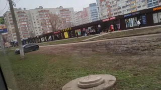 Народный контроль: "Появился газон, спасибо. Теперь помогите его сохранить"