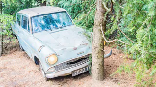 В Клепиковском районе 14 июля водитель Kia Sorento съехал с дороги в кювет