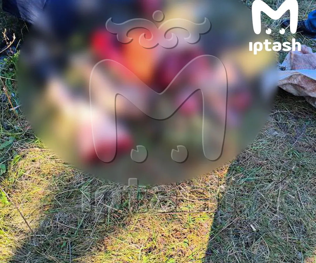 Шокирующее происшествие в Елабуге: обнаружено расчленённое тело