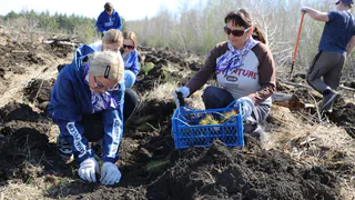 Магнитогорск создаёт «зелёные лёгкие»: тысячи сосен высажены горожанами в рамках экологической акции
