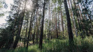 В Рязанской области построят многопрофильный туристический комплекс за 1,2 млрд рублей