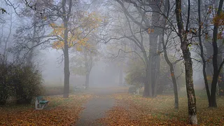 14 октября в Пензе бушующий юго-западный ветер стихнет до 13 метров в секунду