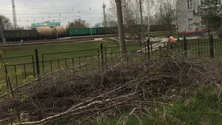 Кто убирать будет? Сотрудники станции "Лесок" развели свалку на обочине