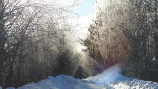 Новый циклон принесет в Чувашию метель и усиление мороза