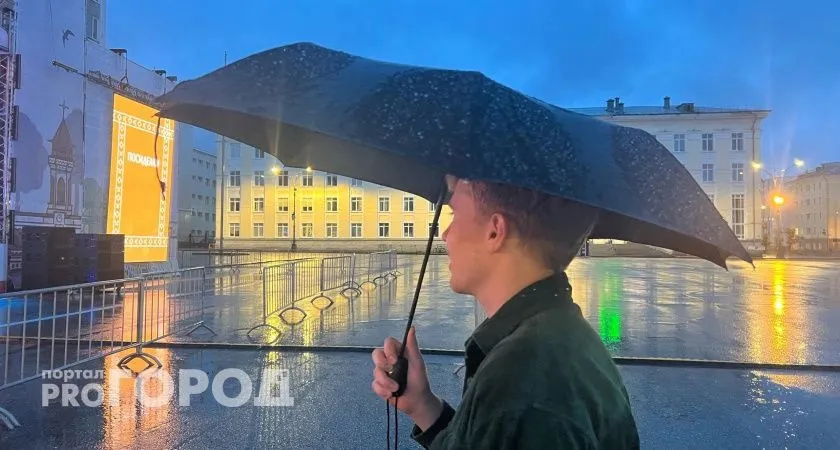 В Челябинской области вновь установилась дождливая погода