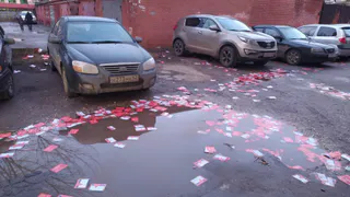 Над рязанским двором прошел "дождь" из рекламных листовок