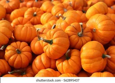 Простые блюда: тыква по-гречески