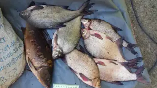 Троих жителей Челябинской области задержали с крупным незаконным уловом