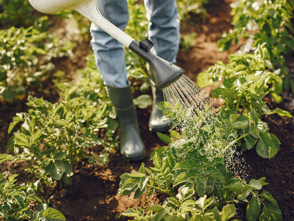Челябинские фирмы подозревают в сговоре на торгах по поставке лабораторного оборудования