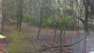 В Дашково-Песочне на детскую площадку упала крупная ветка