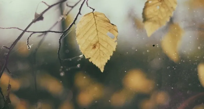 Сентябрь ударит намного раньше срока: температура рухнет до 10 градусов