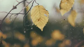 Обязательно берите зонт, дождевик и резиновые сапоги: сентябрь ударит намного раньше срока, температура упадет вниз