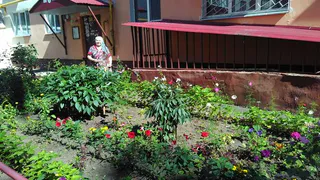 Для души: нижнекамка сажает цветы перед своим подъездом