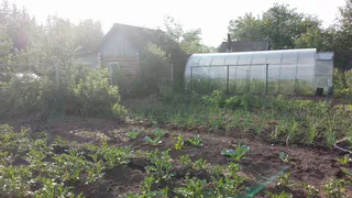 Три ложки на кучу — перегниют даже ветки и кости: быстрый компост без хлопот — земля будет как пуховая перина