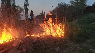 В Рязанской области в августе площадь пожаров превысила 20 тысяч гектаров