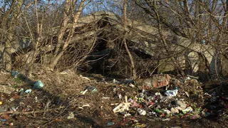 Село под Рязанью завалено мусором. Власти предлагают людям взять в руки лопаты