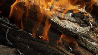 С начала года во Владимирской области было зафиксировано 22 лесных пожара