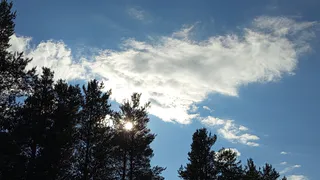 В Коми появились первые охранные зоны для природных памятников