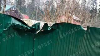 600 жителей Владимирской области уже 13 лет живут под падающими деревьями