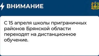Школы в приграничных районах Брянской области перевели на дистант