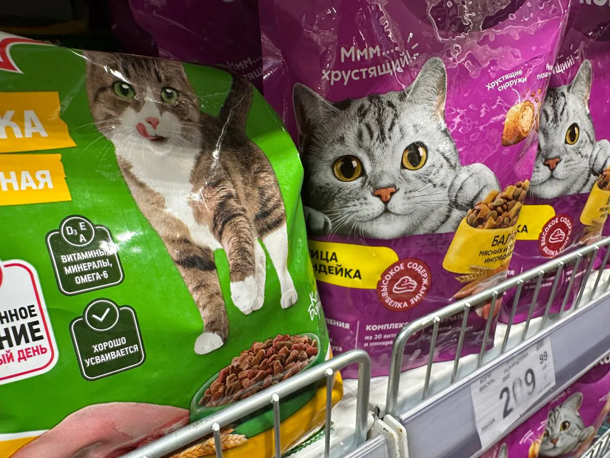 Роскачество назвало самые полезные влажные корма для кошек. Результаты поражают