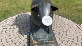 Не прикасаться: статуе свиньи в Рязани запретили тереть пятачок