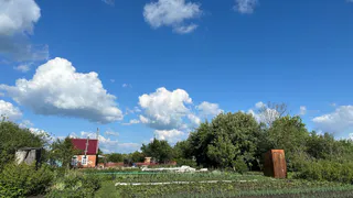 "Начнут сбываться мечты": Глоба назвала четыре знака, чьи мечты сбудутся летом 2024