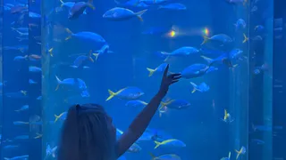 Как живут богатые люди в Абхазии? Побывали в доме у богатого абхазца. Что нам понравилось, а что показалось очень необычным